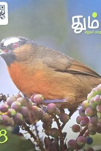Cover for தும்பி 38