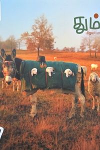 Cover for தும்பி 67